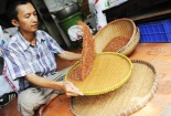 Chuyên gia khẳng định gạo lứt không có tác dụng chữa bệnh